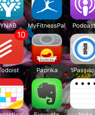 Paprika Icon Iphone Home Screen