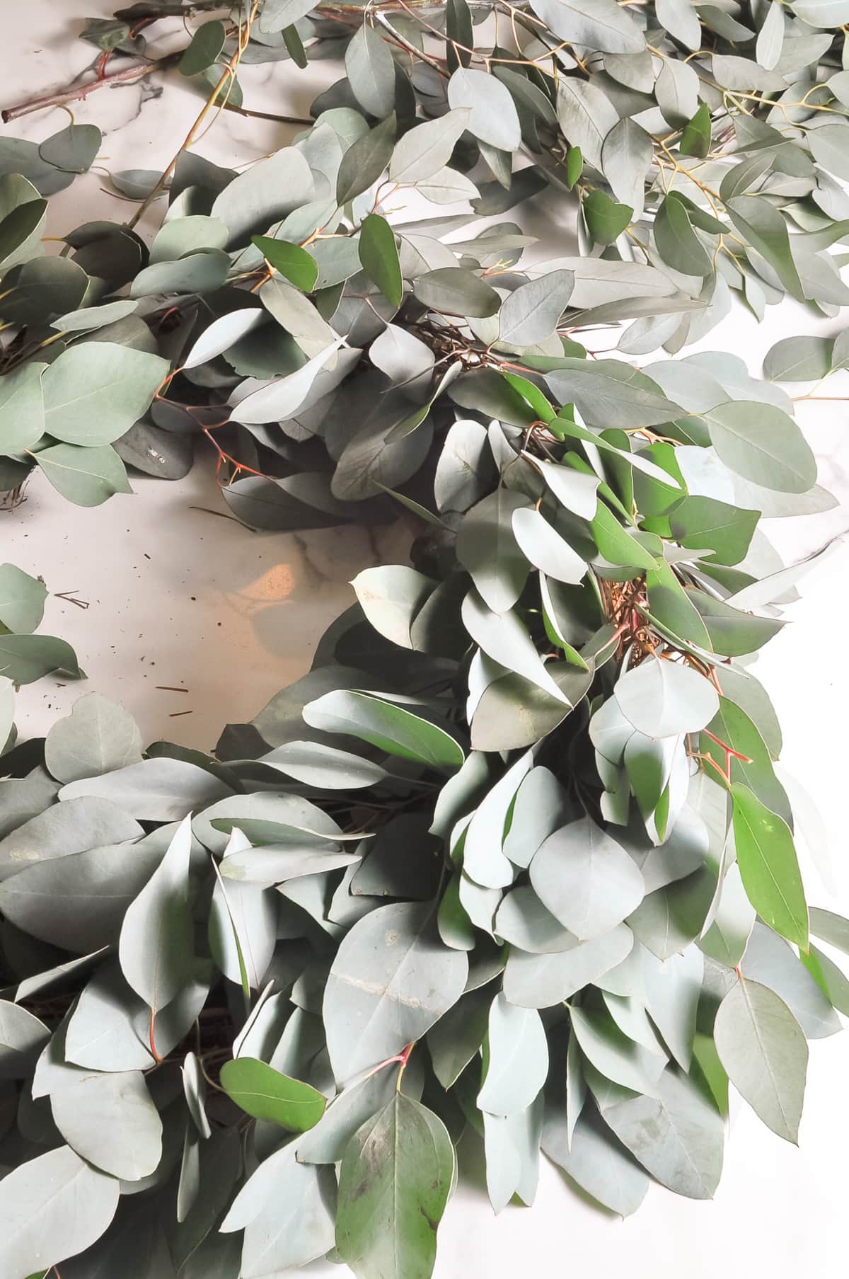 diy eucalyptus wreath