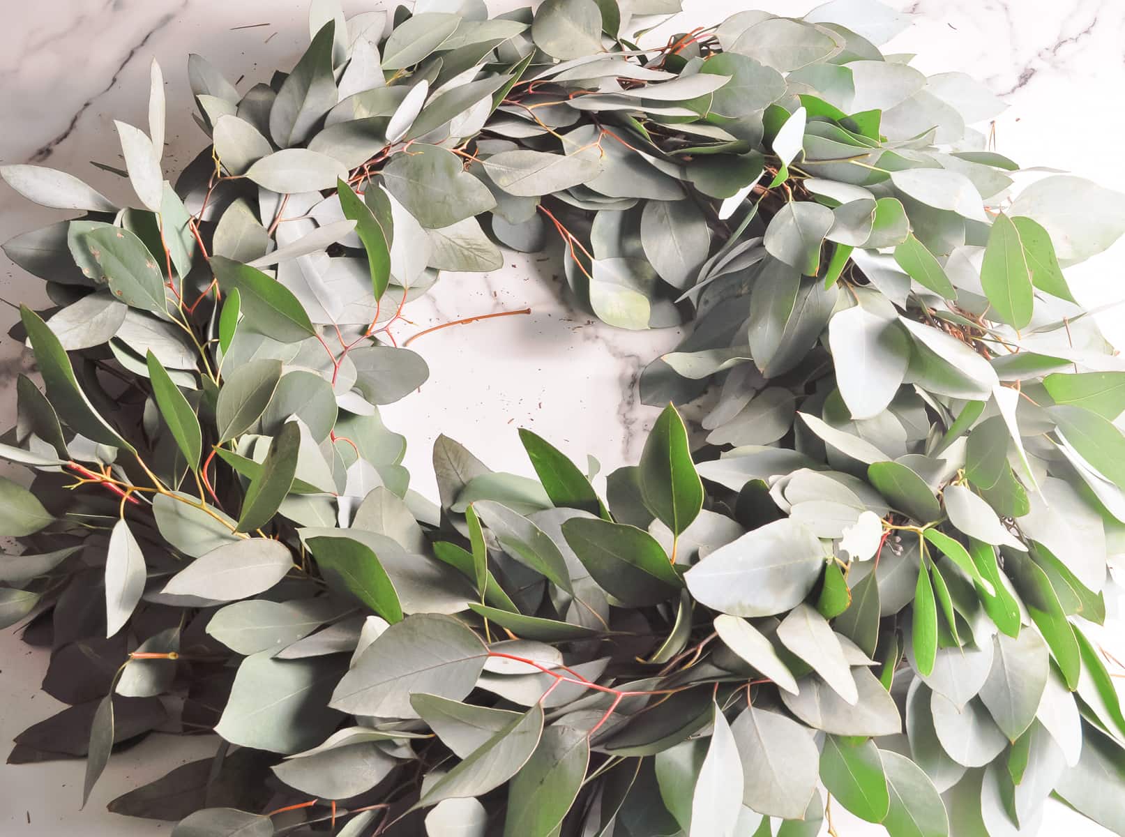 gorgeous wreath made of eucalyptus 