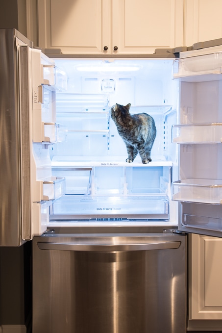 how to organize a french door refrigerator