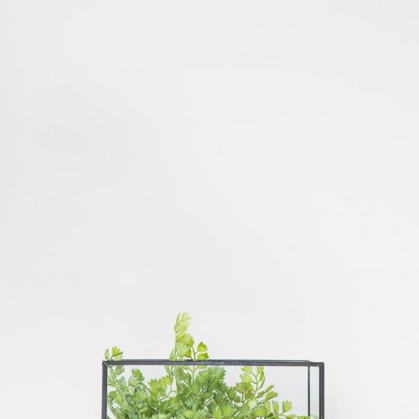 How to Make a Faux Greenery Terrarium. Easy tutorial for a DIY terrarium for your home decor.