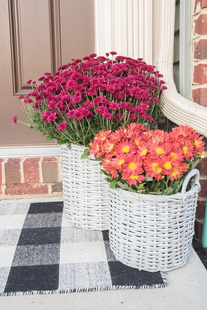 Easy upcycled basket planters. Turn old Goodwill baskets into bright and modern basket planters for your home. Easy way to paint using Fusion Mineral Paint.