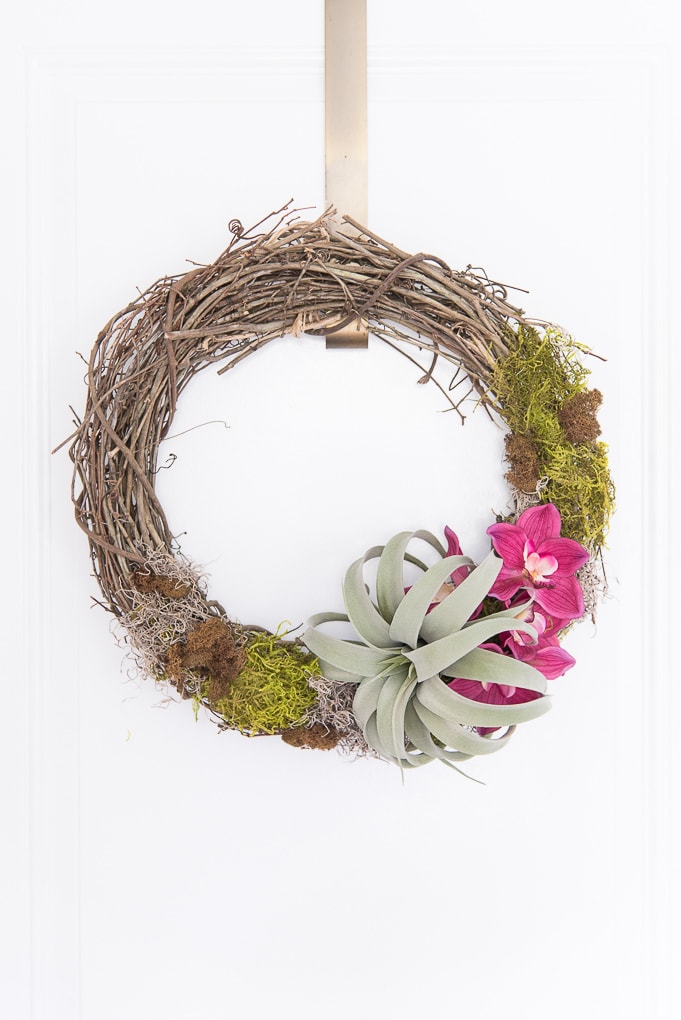 Easy DIY Air Plant Wreath