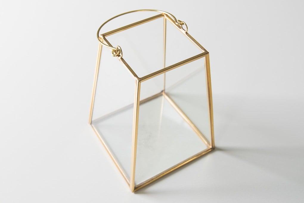 gold lantern terrarium empty