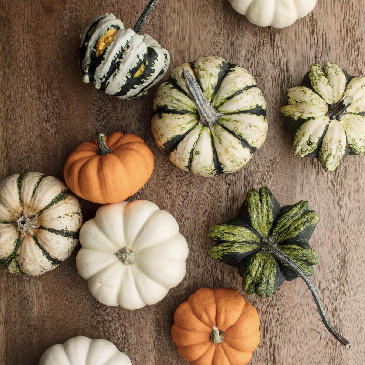 heirloom pumpkins for fall