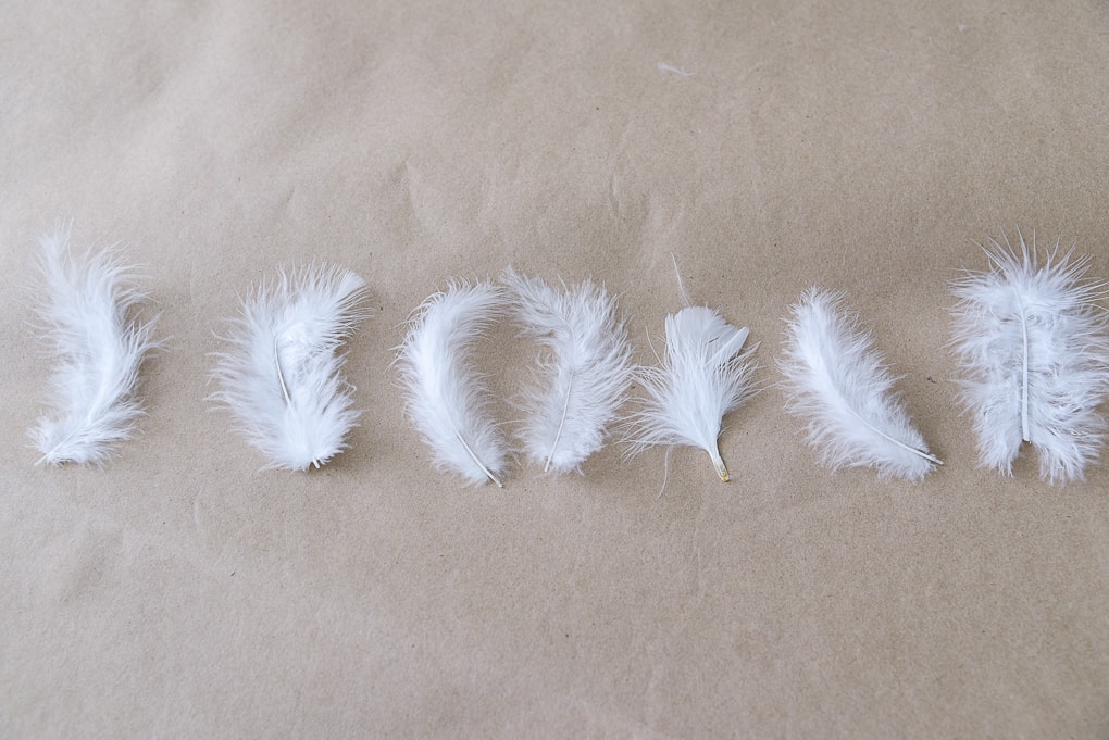 white feathers on brown kraft paper