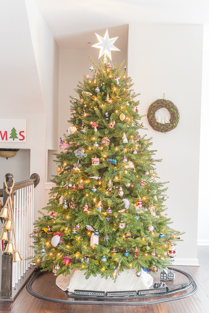 Traditional fresh Christmas tree in living room