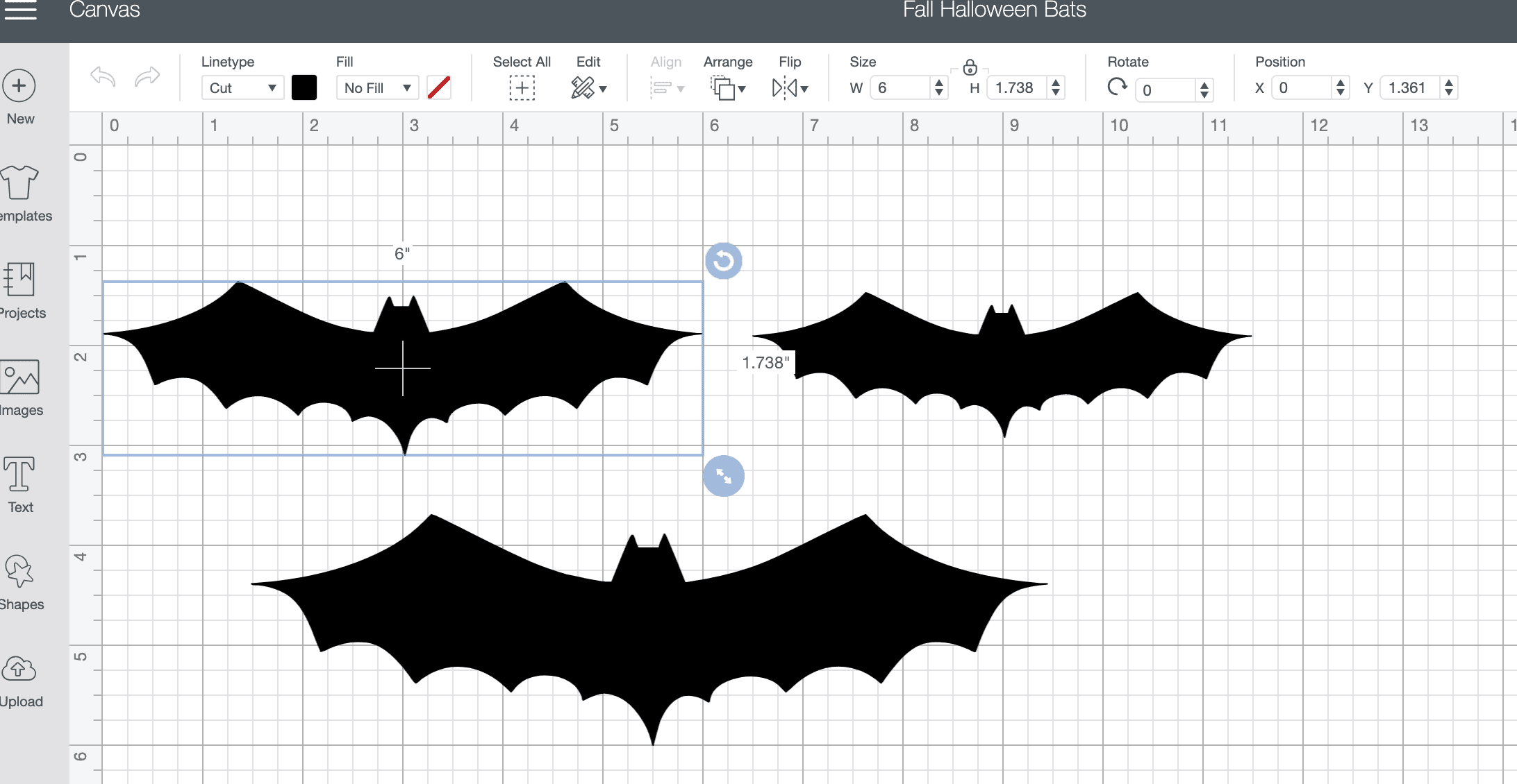 bats in different sizes