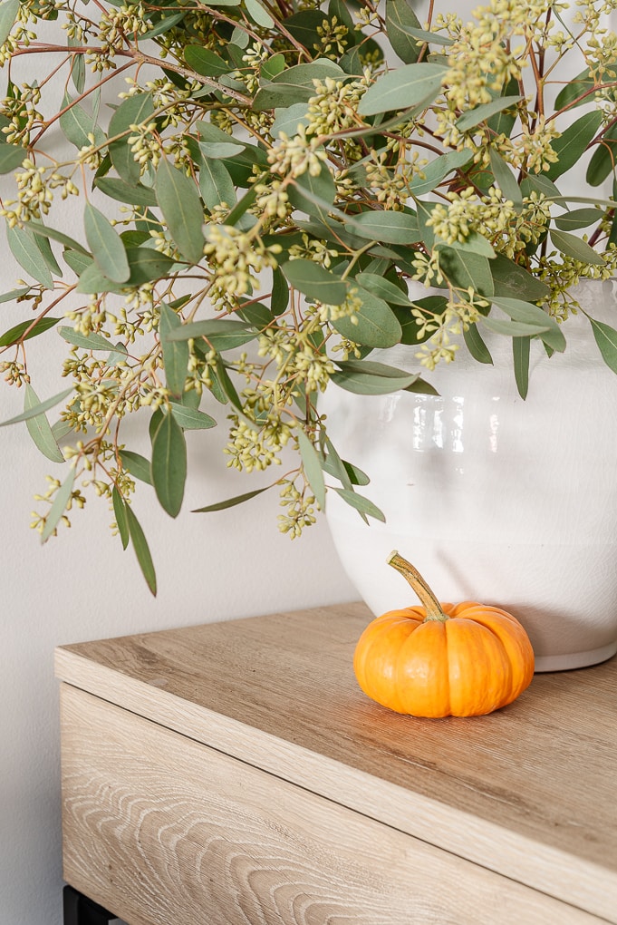 small orange pumpkin next to seeded eucalyptus