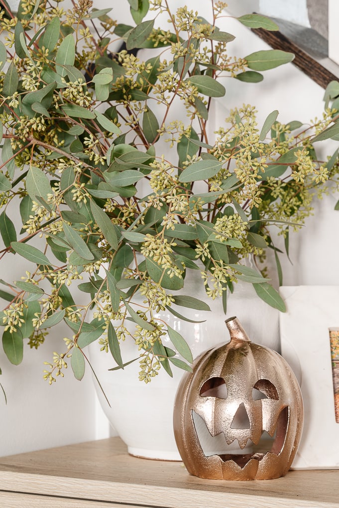 jack-o-lantern and seeded eucalyptus