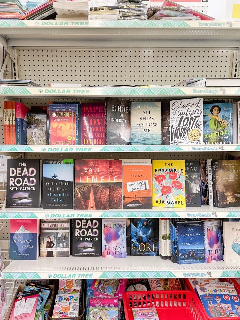 shelves of hardcover books at the dollar tree