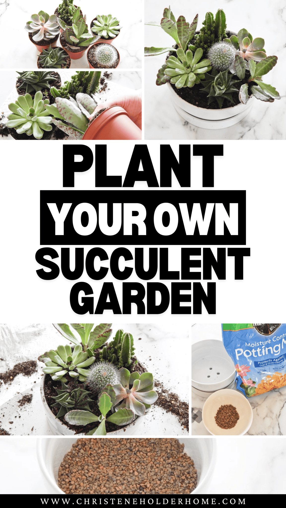 How to Plant a Succulent Garden | Christene Holder Home